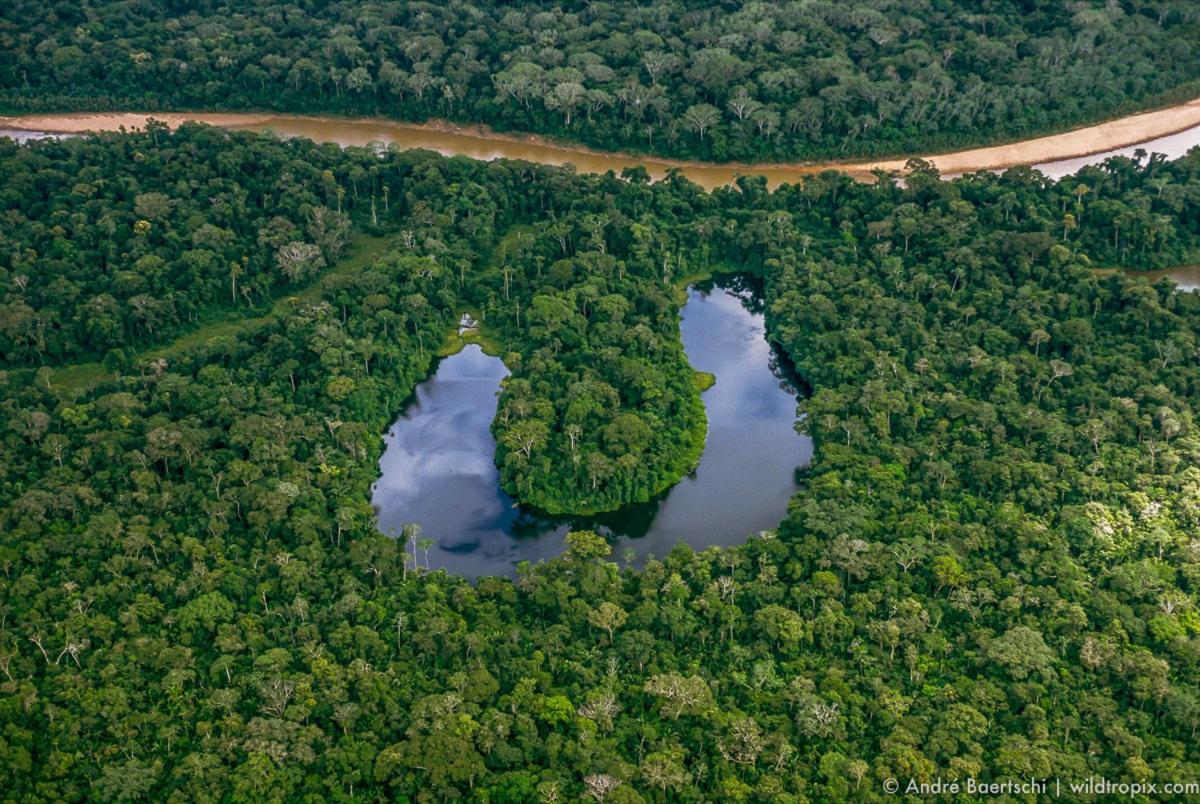 Вилла Casa Amazonas Пуэрто-Мальдонадо Экстерьер фото